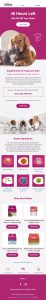 Klaviyo Email MArketing Expert Pet Niche