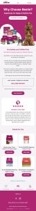 Bestie pet food brand pet products Klaviyo email automation case study