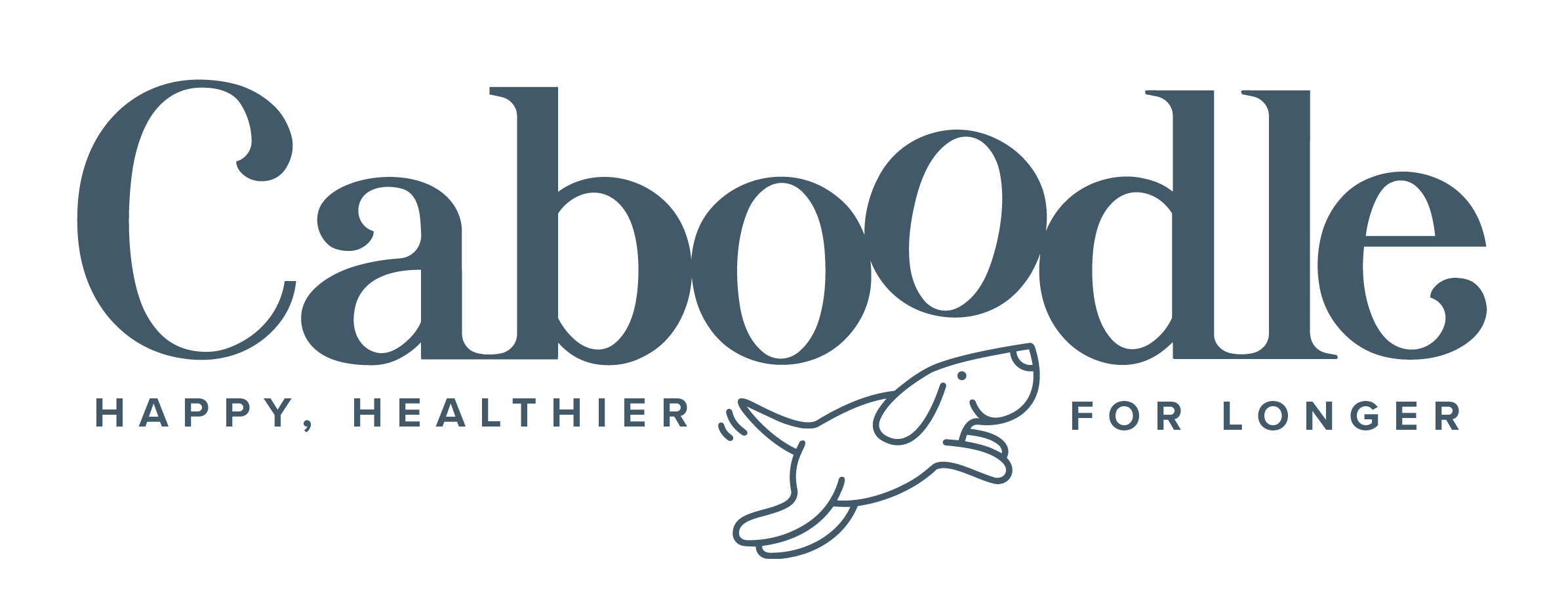 Caboodle logo — email marketing client